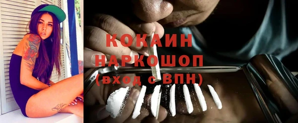 эйфоретик Арсеньев